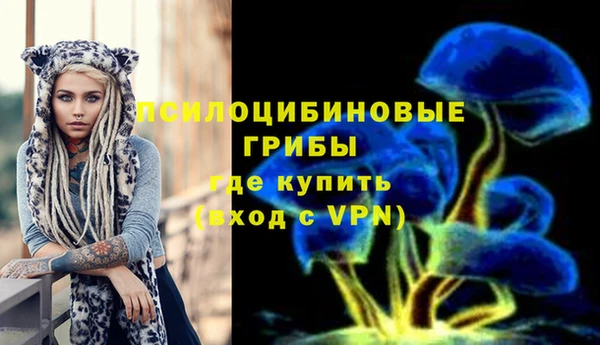 марки nbome Алексеевка