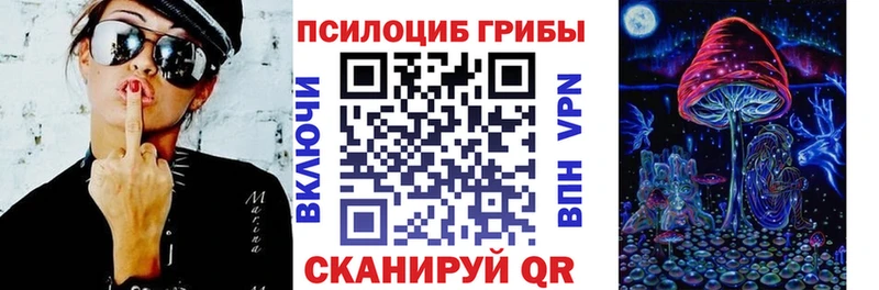Галлюциногенные грибы Psilocybe  купить наркотик  Хвалынск 